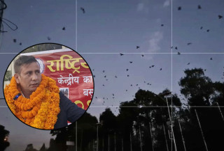 कलाकार दुलालले गरे काग सम्मेलन, भेला गराइयो सयौँ काग